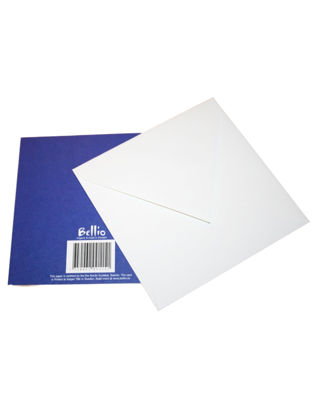 Klappkarten in Blau mit großem Frosch, rückseite