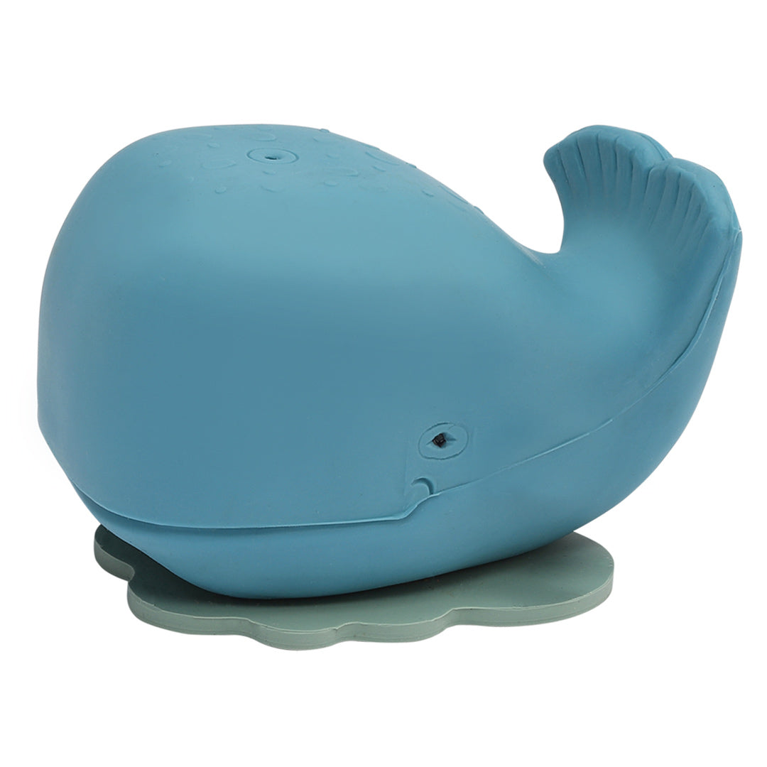 Badespielzeug Wal aus Naturkautschuk in hellblau mit Spritzloch und Stöpsel zum öffnen